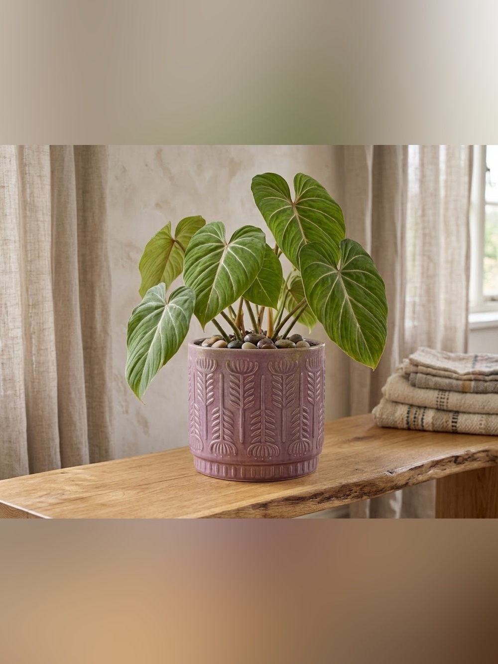 Handmade Mauve Ceramic Planter with Drainage Hole 6x6 | Terracotta Botanical Pot